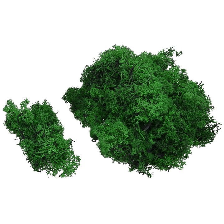 Lichene verde bosco 1 Kg.