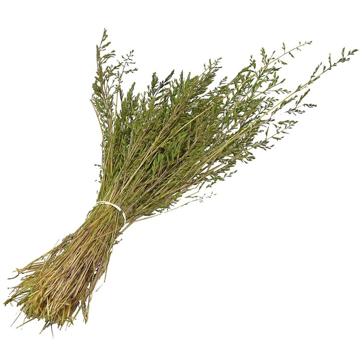 Erba cipressina 45 gr.