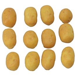 Set 12 patate novelle 0,5-10 mm