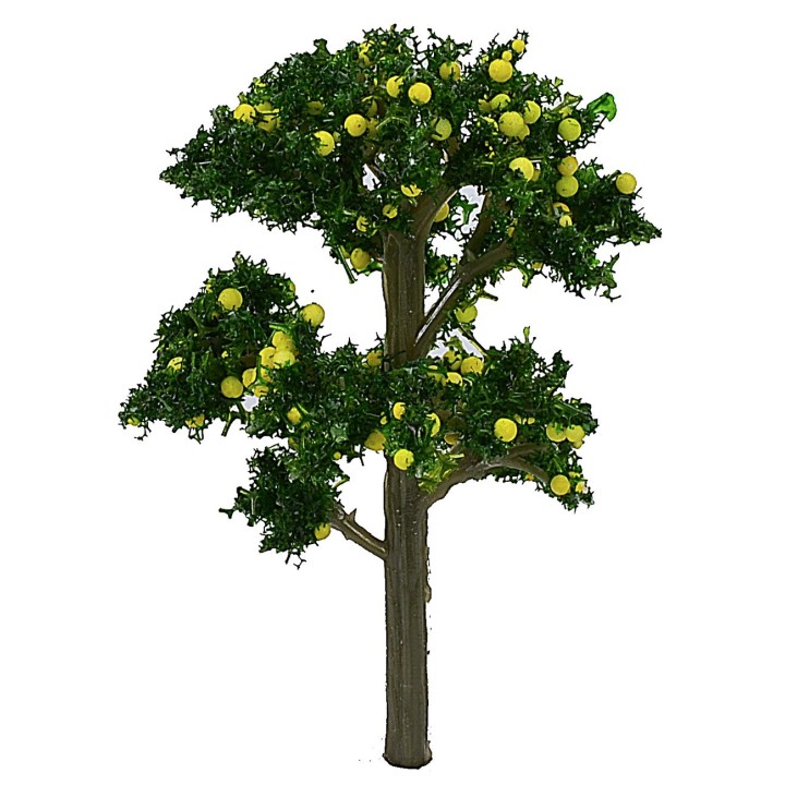 Lemon plant without base h 7 cm