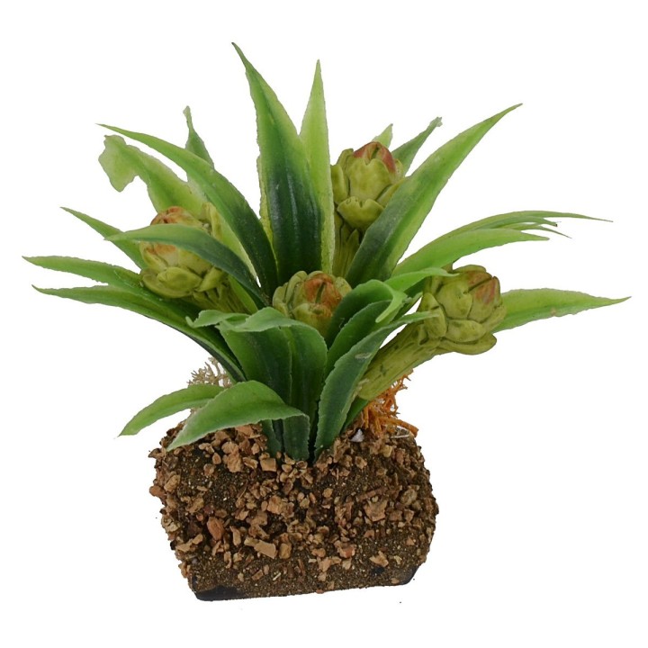 Planta de alcachofas cm 6 h