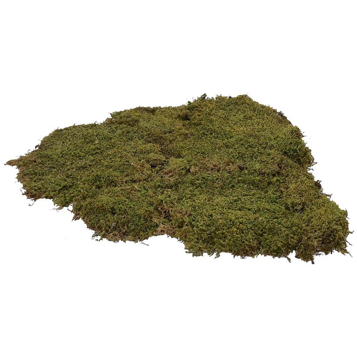 Muschio naturale tappeto 90 gr.- presepe