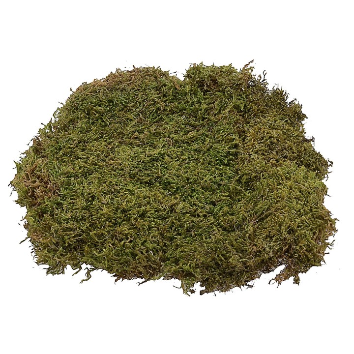 Muschio naturale tappeto 200 gr. 