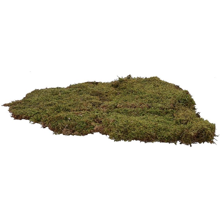 Musgo natural alfombra 1 kg - pesebre
