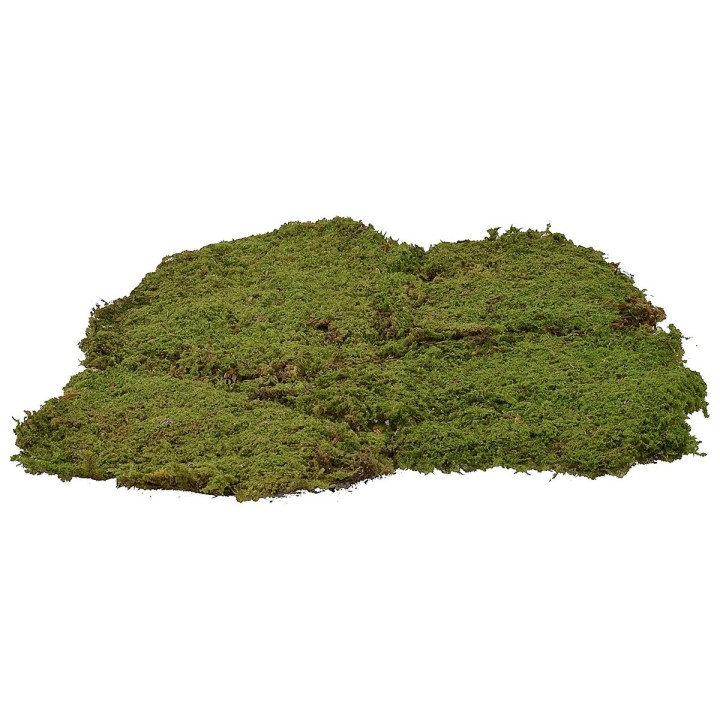 Muschio a tappeto 4 kg