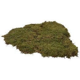 Muschio naturale tappeto 5 kg - presepe