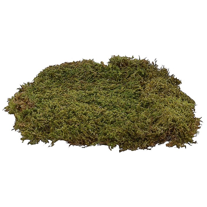 Muschio naturale tappeto 5 kg - presepe