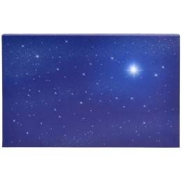 Cielo stellato con stella polare fibre ottiche cm 50x40x1,7