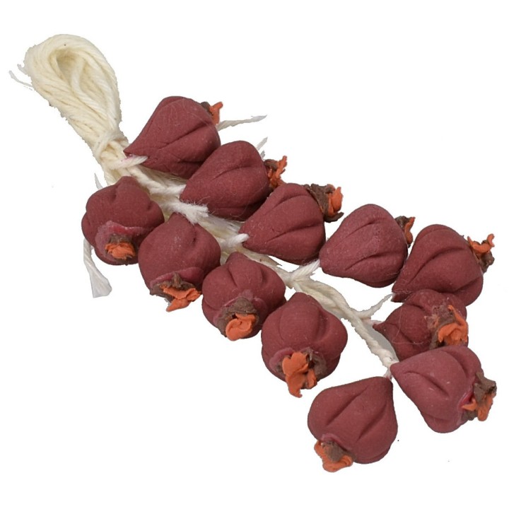 Ceppo di cipolle