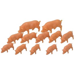 Set 12 pigs - Cod. 