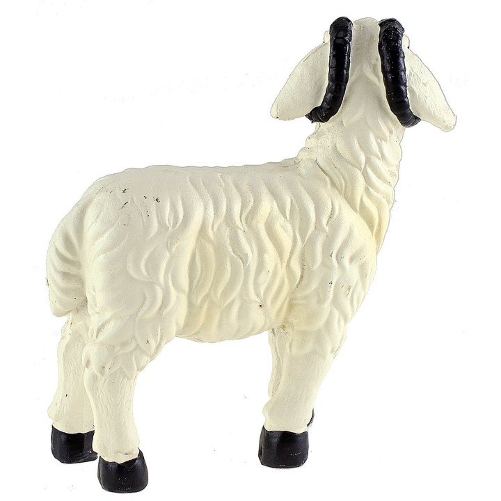 Montone con striature gialle per statue 15-20 cm