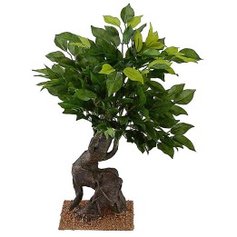 Quercia di h 40,5 cm per Presepe
