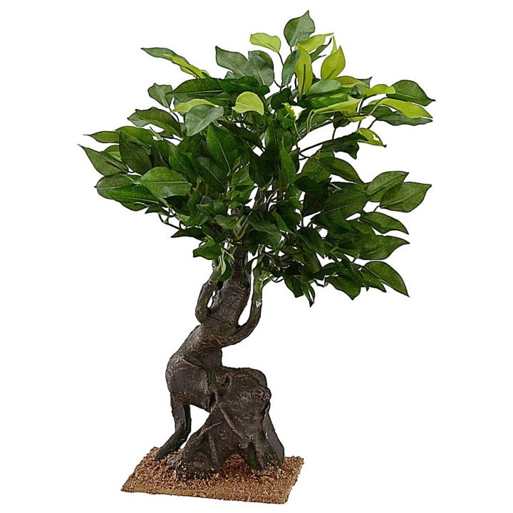 Quercia di h 40,5 cm per Presepe