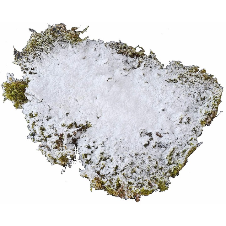 Nieve helada 200 gramos