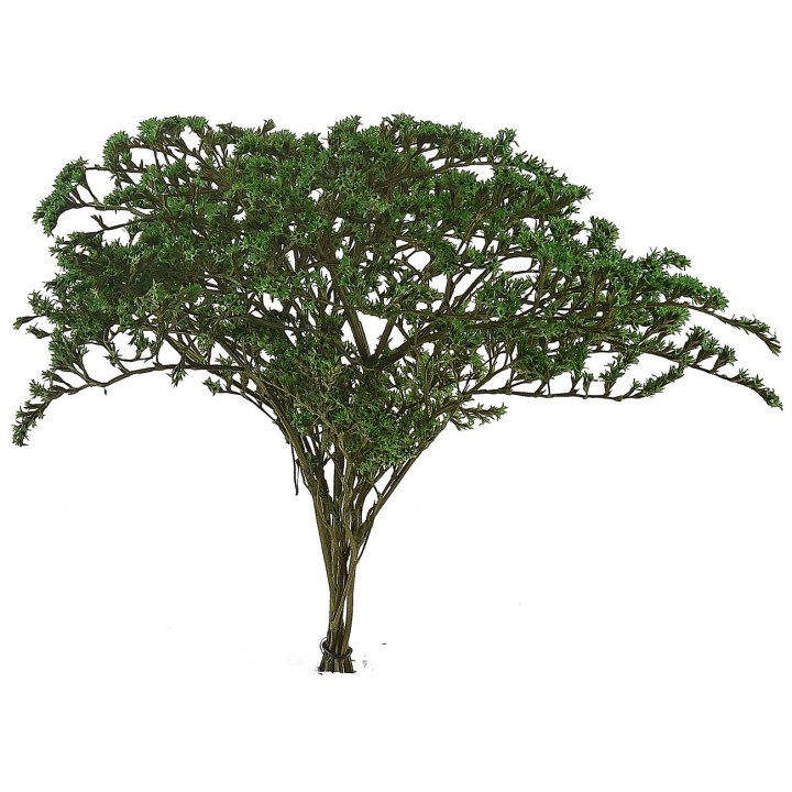 "Branches with green leaves 25 g"