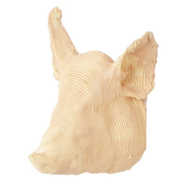Cabeza de cerdo 2,5 cm