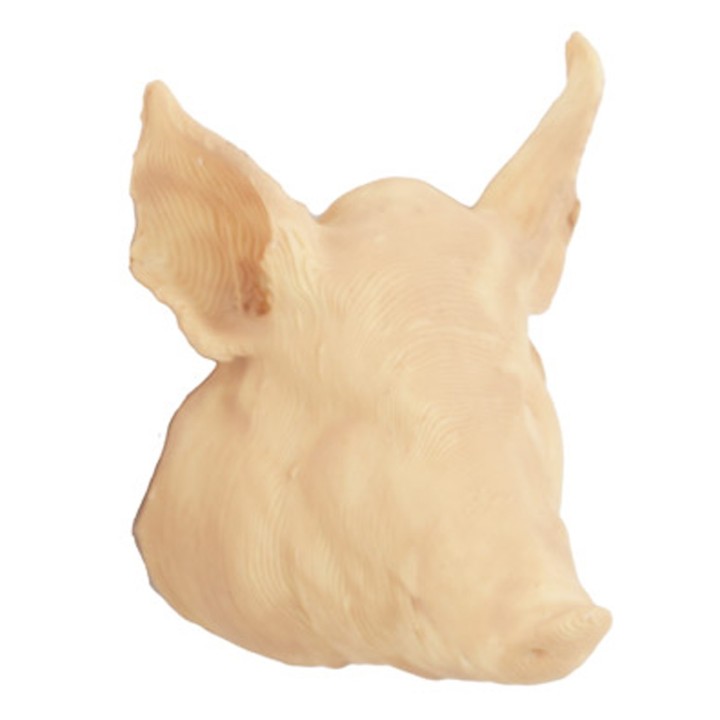 Testa di maiale 4 cm