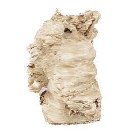 Cabeza de fauno de Pompeya 2,3 cm