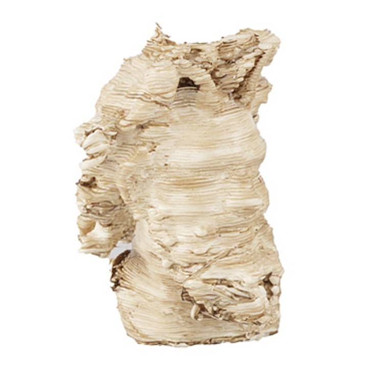 Cabeza de fauno de Pompeya 2,3 cm