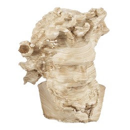 Faun head from Pompeii 3.5 cm