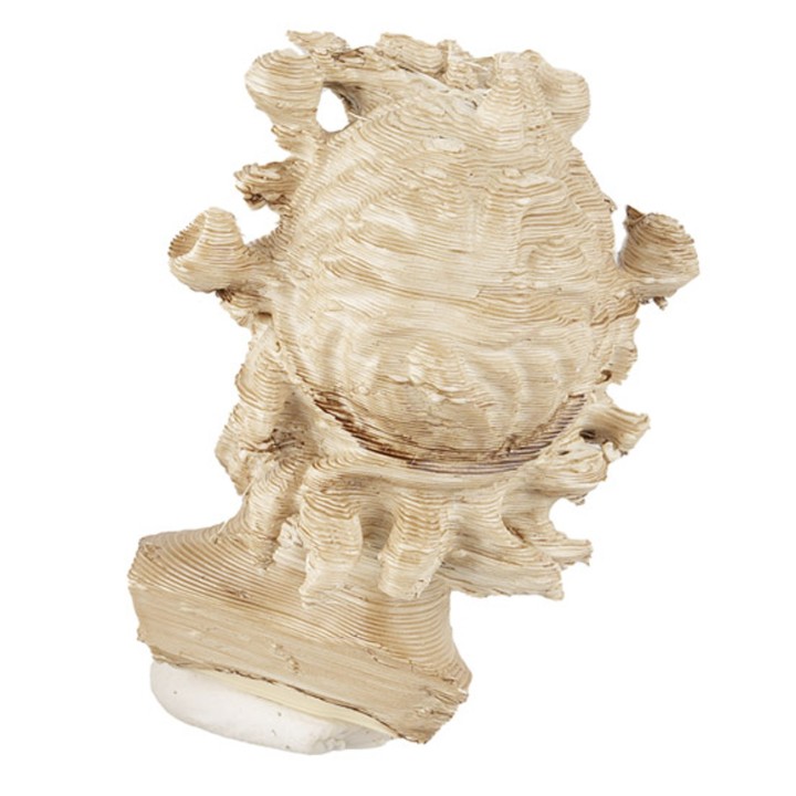 Faun head from Pompeii 3.5 cm