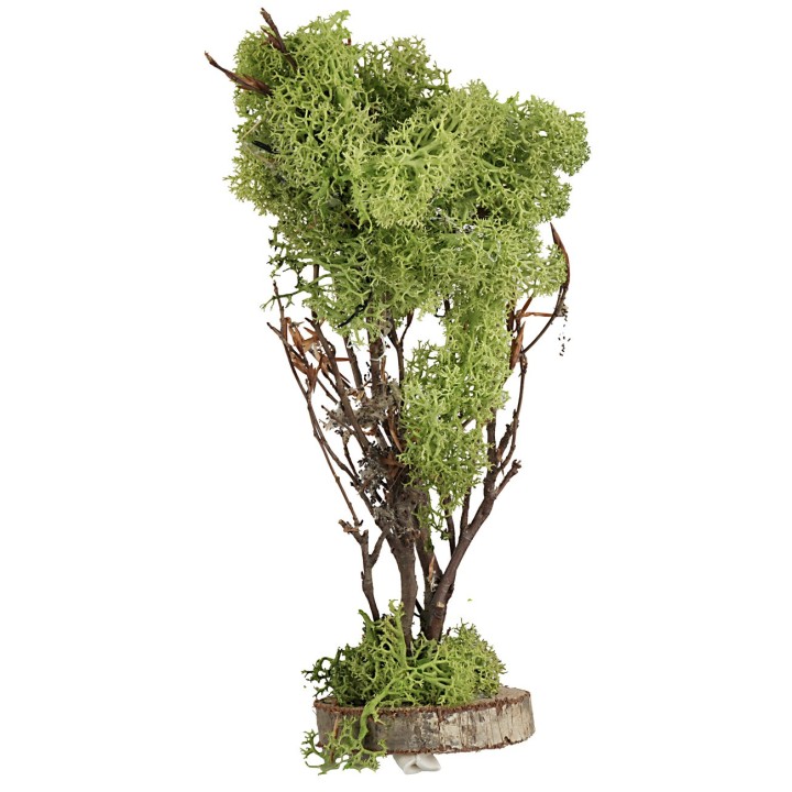 Albero in lichene verde cm 20 h