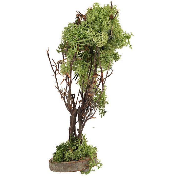 Árbol de liquen verde de 20 cm de altura