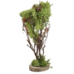 Árbol de liquen verde de 20 cm de altura