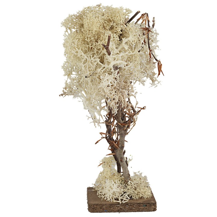 Tree with square base in autumn lichen 20 cm h