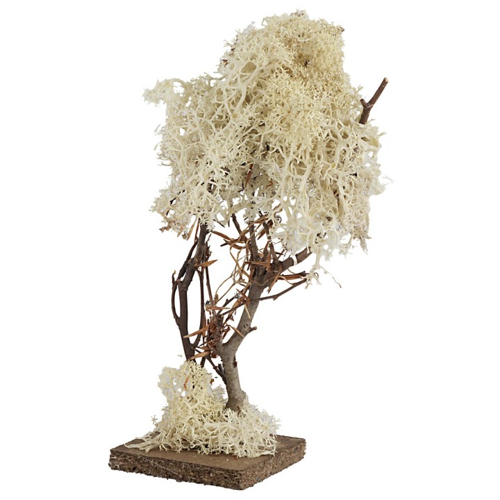 Árbol con base cuadrada en liquen otoñal de 20 cm de altura.