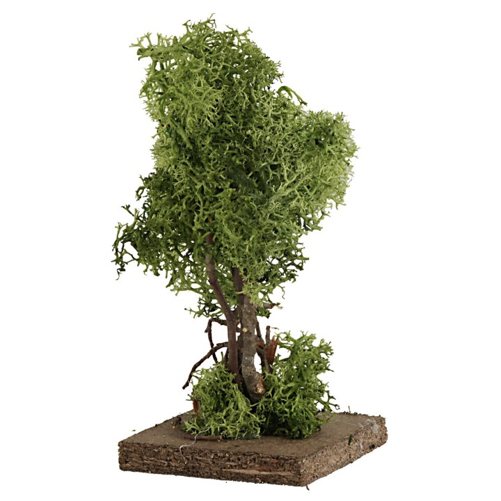 Green lichen tree cm 14 h