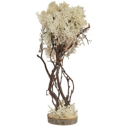 Árbol con base redonda en liquen otoñal de 23 cm de altura.