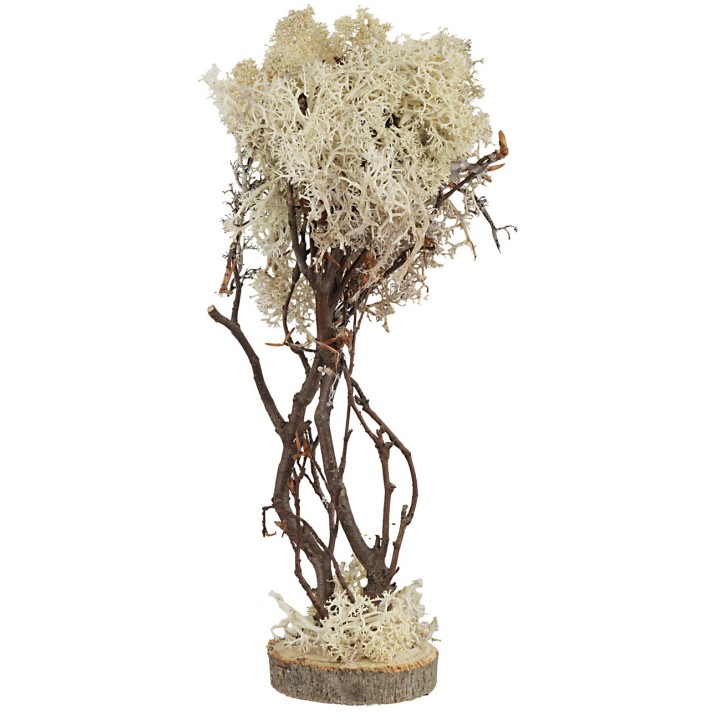 Albero a base tonda in lichene autunnale cm 23 h