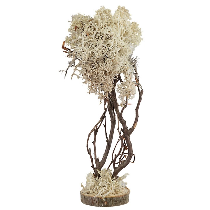 Albero a base tonda in lichene autunnale cm 23 h