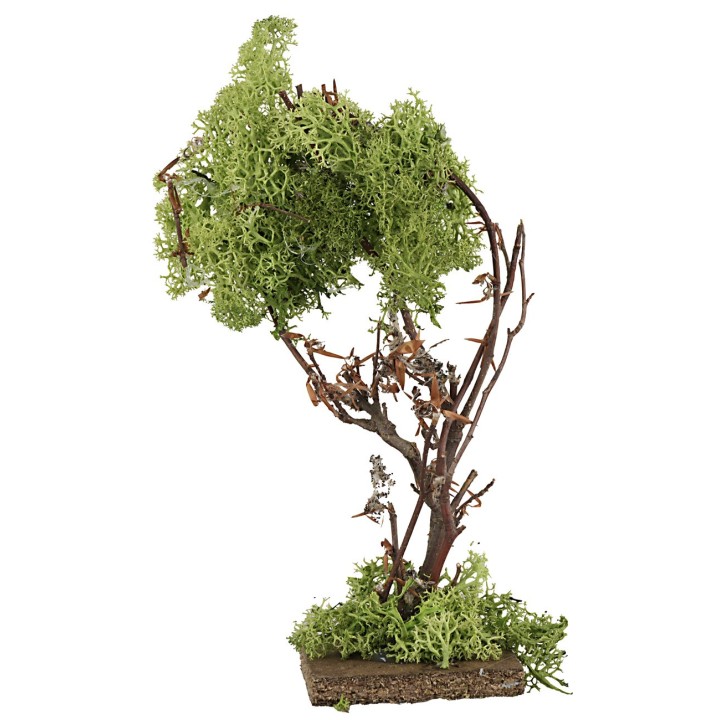 Albero in lichene verde cm 18,5 h