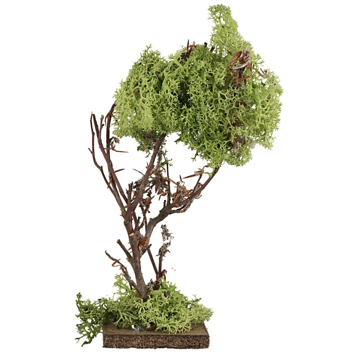Albero in lichene verde cm 18,5 h