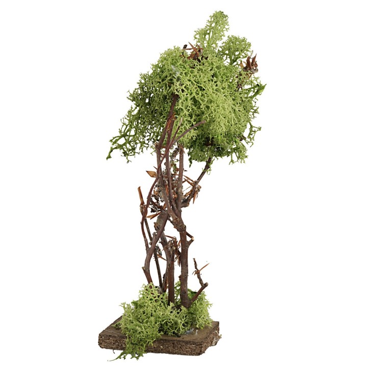 Albero in lichene verde cm 18,5 h