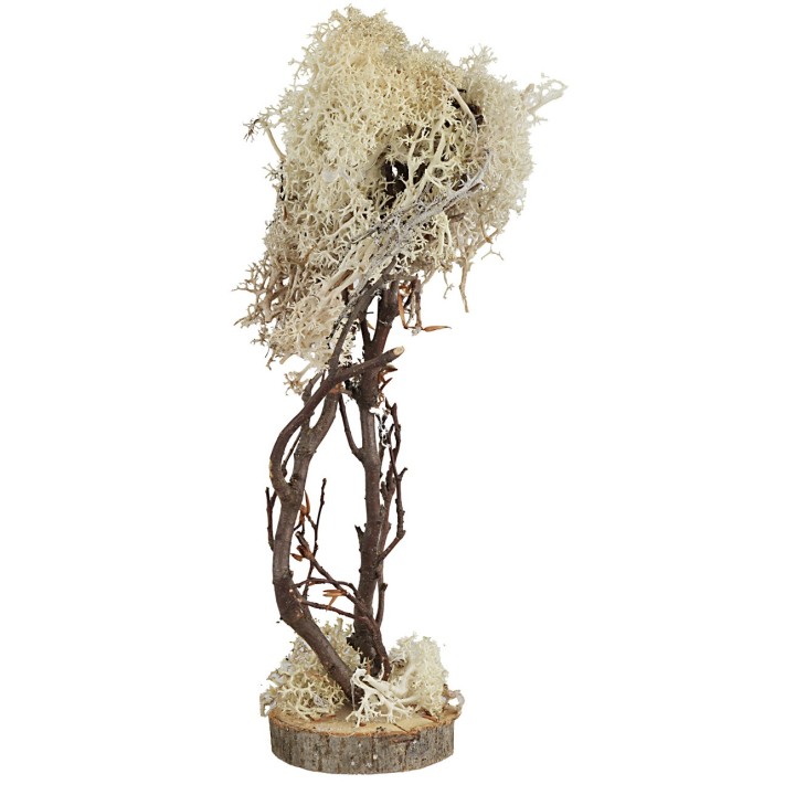 Albero a base quadrata in lichene autunnale cm 15h
