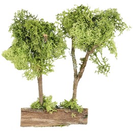 Árboles verdes sobre tronco en liquen verde de 20 cm de altura