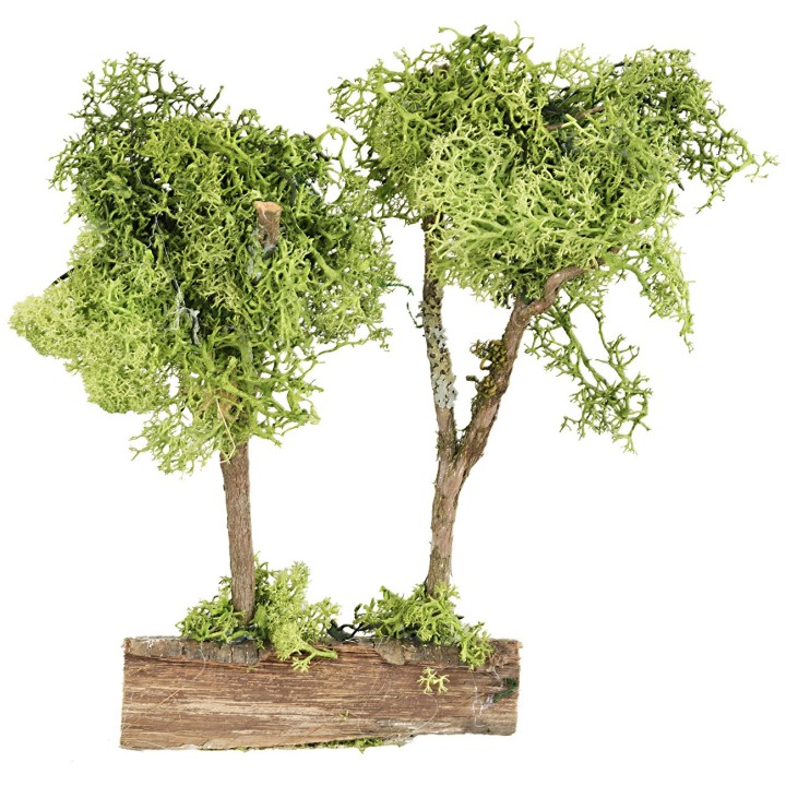 Green trees on green lichen trunk, 20 cm high