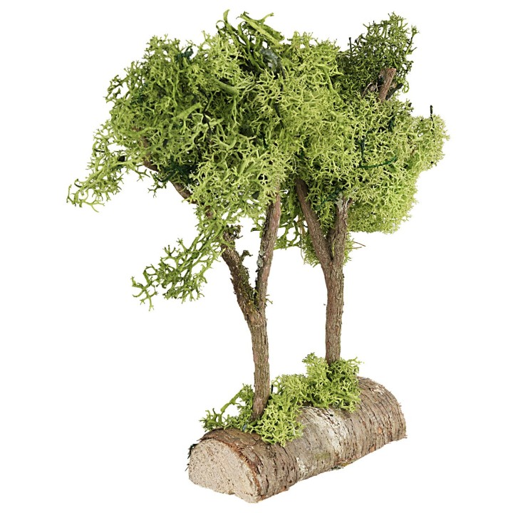 Green trees on green lichen trunk, 20 cm high