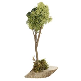 Albero in lichene verde cm 20 h