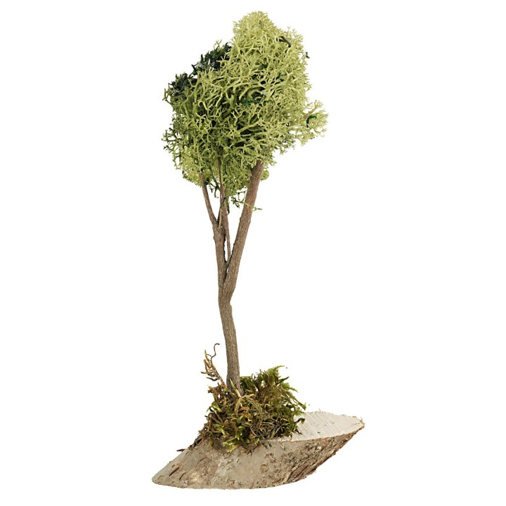 Albero in lichene verde cm 20 h