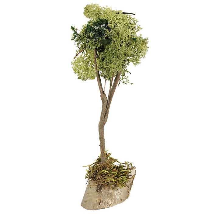 Albero in lichene verde cm 20 h