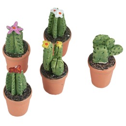 Vase with succulent in various colors 4 cm high