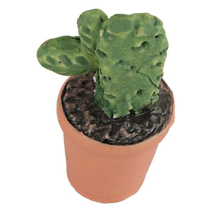Vase with succulent in various colors 4 cm high