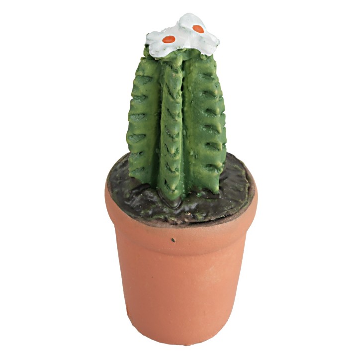 Vaso con planta suculenta en varios colores cm 4h