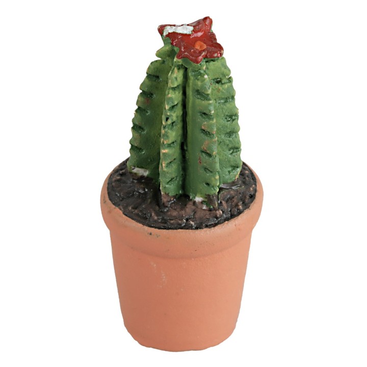 Vaso con planta suculenta en varios colores cm 4h