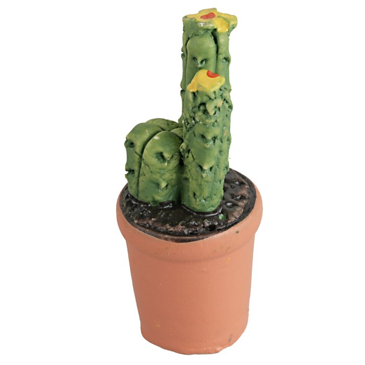 Vaso con planta suculenta en varios colores cm 4h
