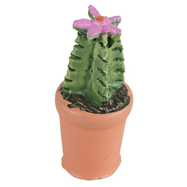 Vaso con planta suculenta en varios colores cm 4h
